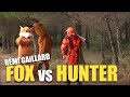 Fox vs hunter rmi gaillard 