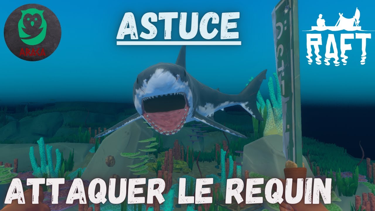 Raft - Comment Attaquer et TUER le REQUIN (Lance, Arc, Machette) - Tuto ...