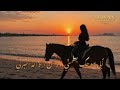 عود يا بحر الوفا والمد أنا صبري وصل للحد