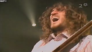 This John Frusciante Guitar Solo Will Give You Goosebumps!!!