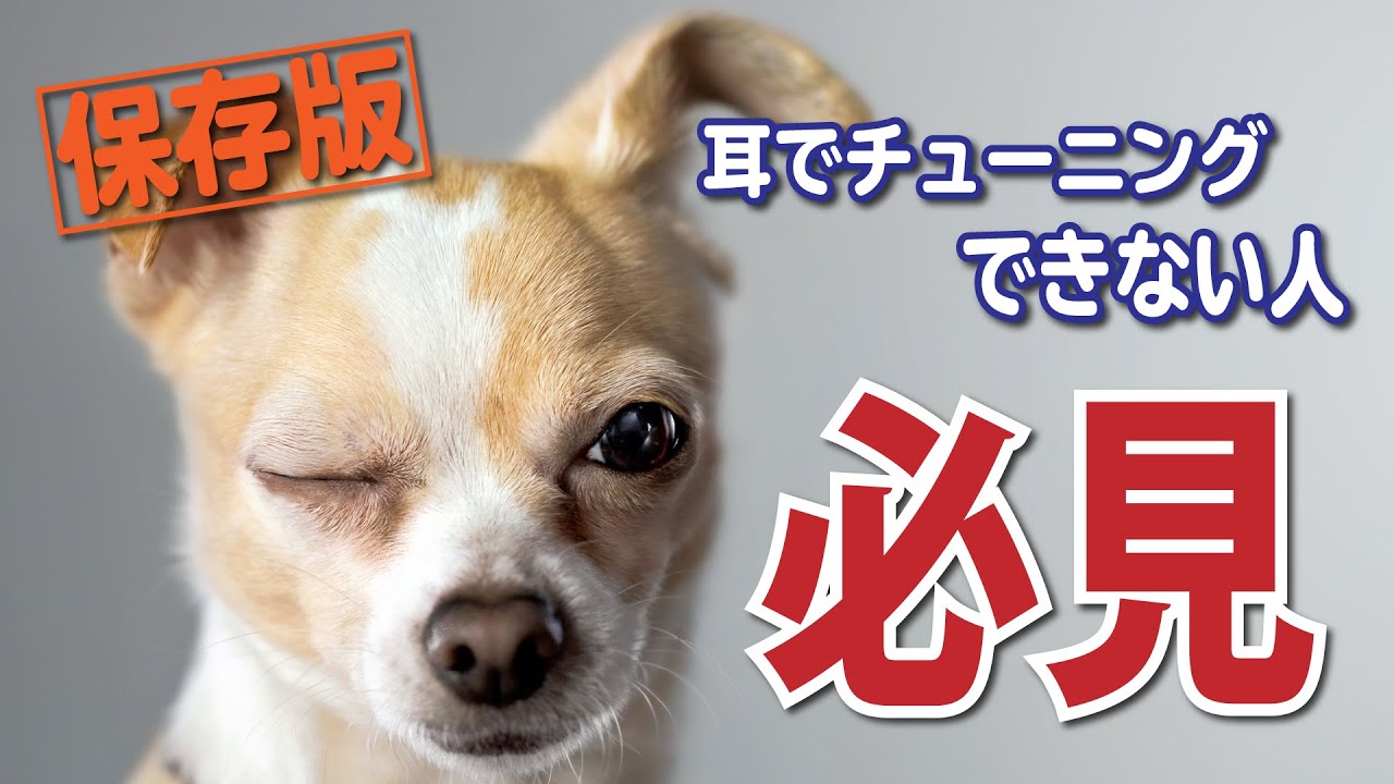 【Lesson】これを聴けばいい！チューナー使わずにチューニングできない人必見です[クラシックギター]