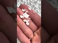 Not normal - #snow #hail #fallingfromthesky