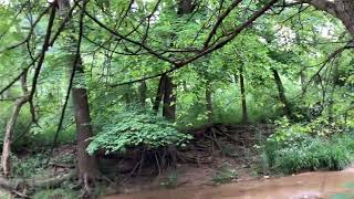 Fun Nature Trail Walk Discussing YouTube iPad Video Recording