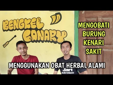 CARA MENGOBATI KENARI SAKIT | MENCRET, DIARE, BERAK AIR MENGGUNAKAN