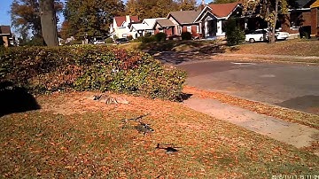 Syma S023g 10f day cBreezy v2