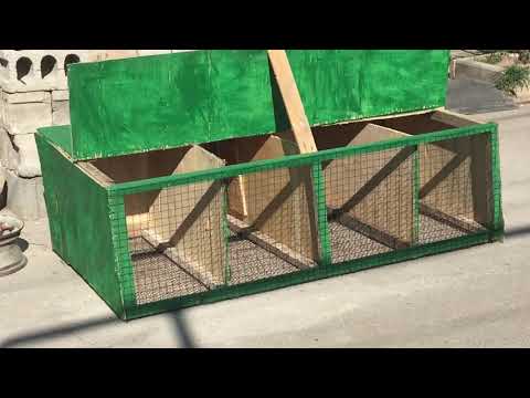 გალიები და ახალი ბინადრები