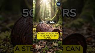 How Long Does Trash Stay in Nature?
