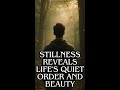 STILLNESS Reveals Lifes Quiet Order and Beauty #shorts