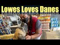 Lowes Loves Great Danes