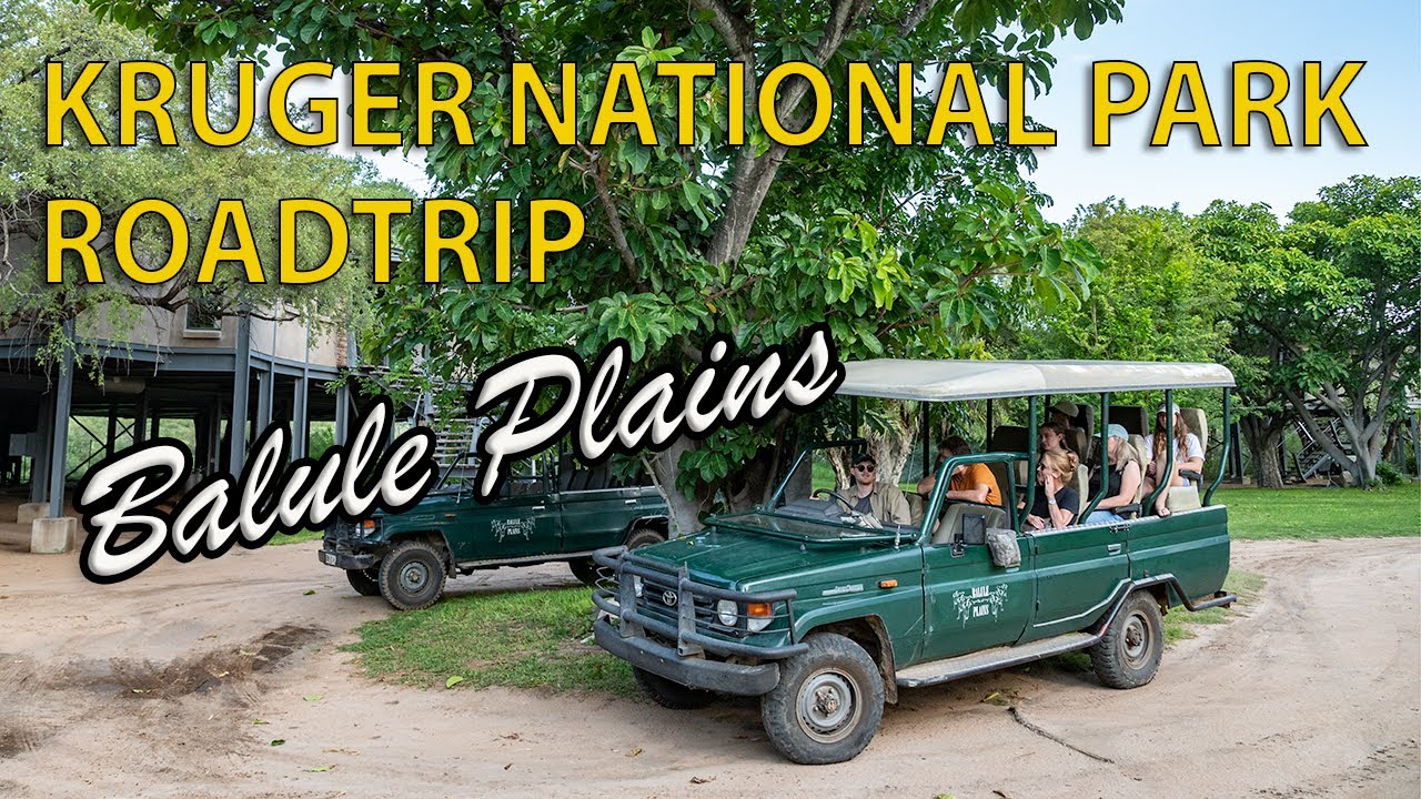 Kruger Roadtrip: Balule Plains