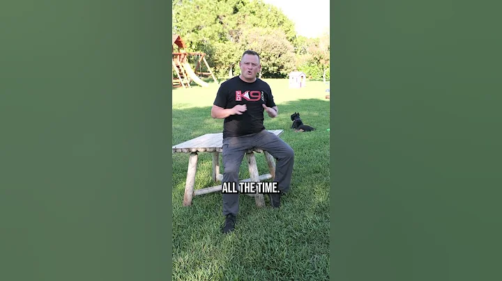 Stop Getting Two Puppies From the Same Litter!