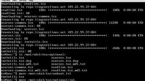 Tiny Core / Micro Core Persistent