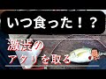 0.5㎜のウキ沈みを即掛！10月5日海上釣堀辨屋
