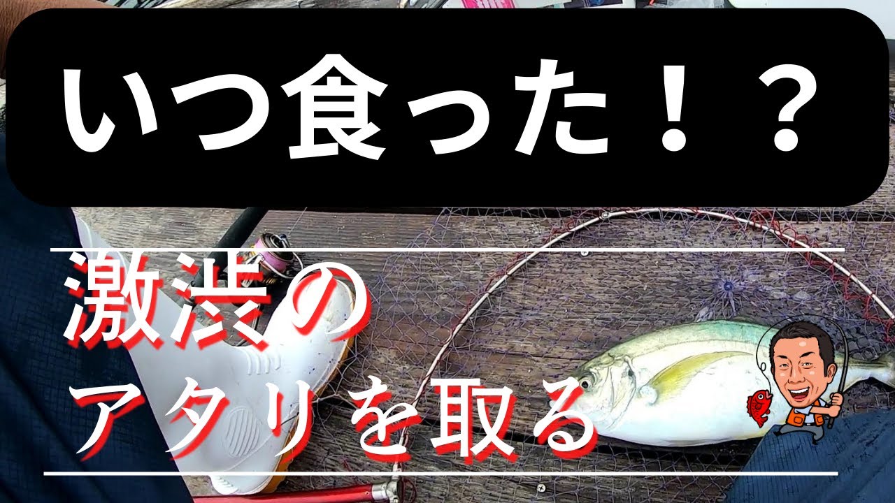 0.5㎜のウキ沈みを即掛！10月5日海上釣堀辨屋
