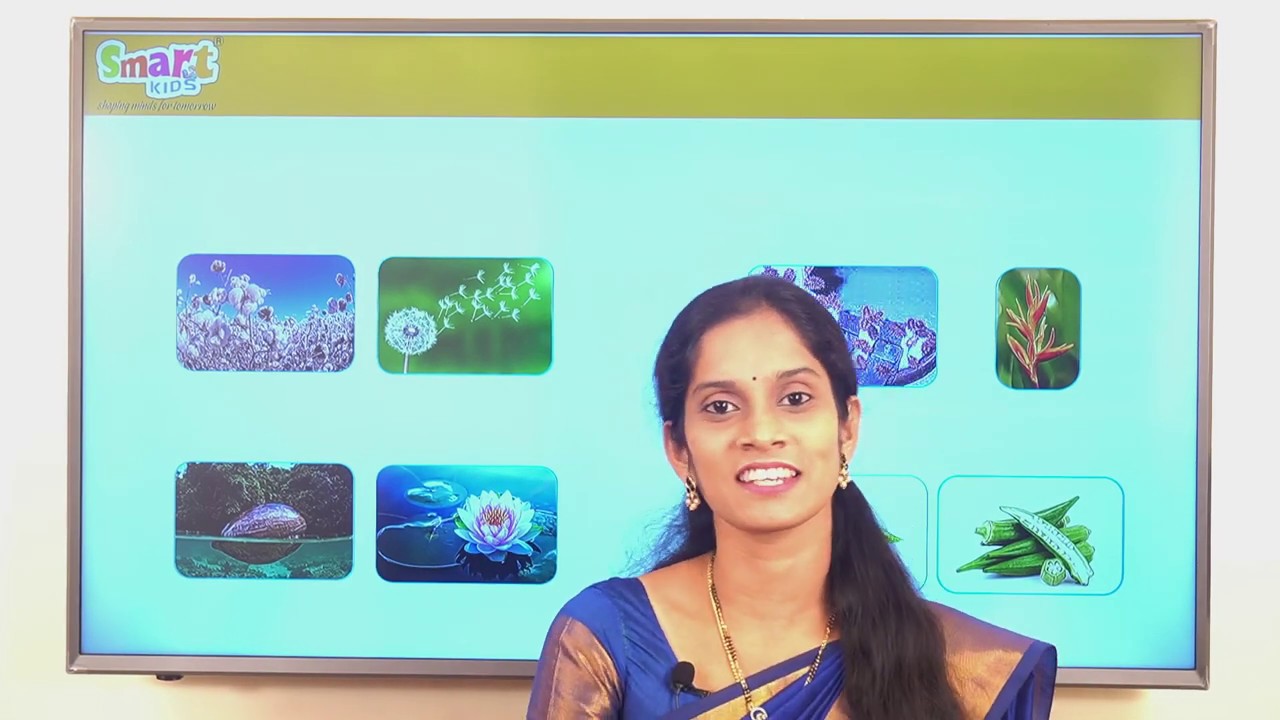 Class 5 - EVS - Science - Lesson 1 : GROWING PLANTS (Part 2) - YouTube