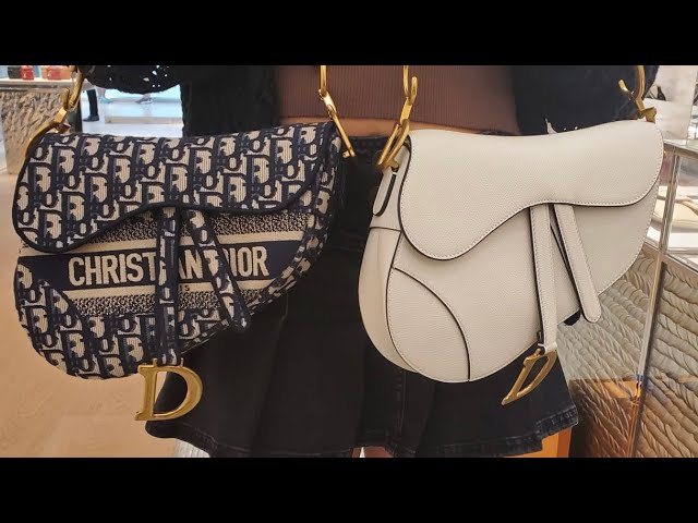 WORTH IT OR NO? MINI DIOR OBLIQUE SADDLE BAG REVIEW + WHAT FITS IN IT 