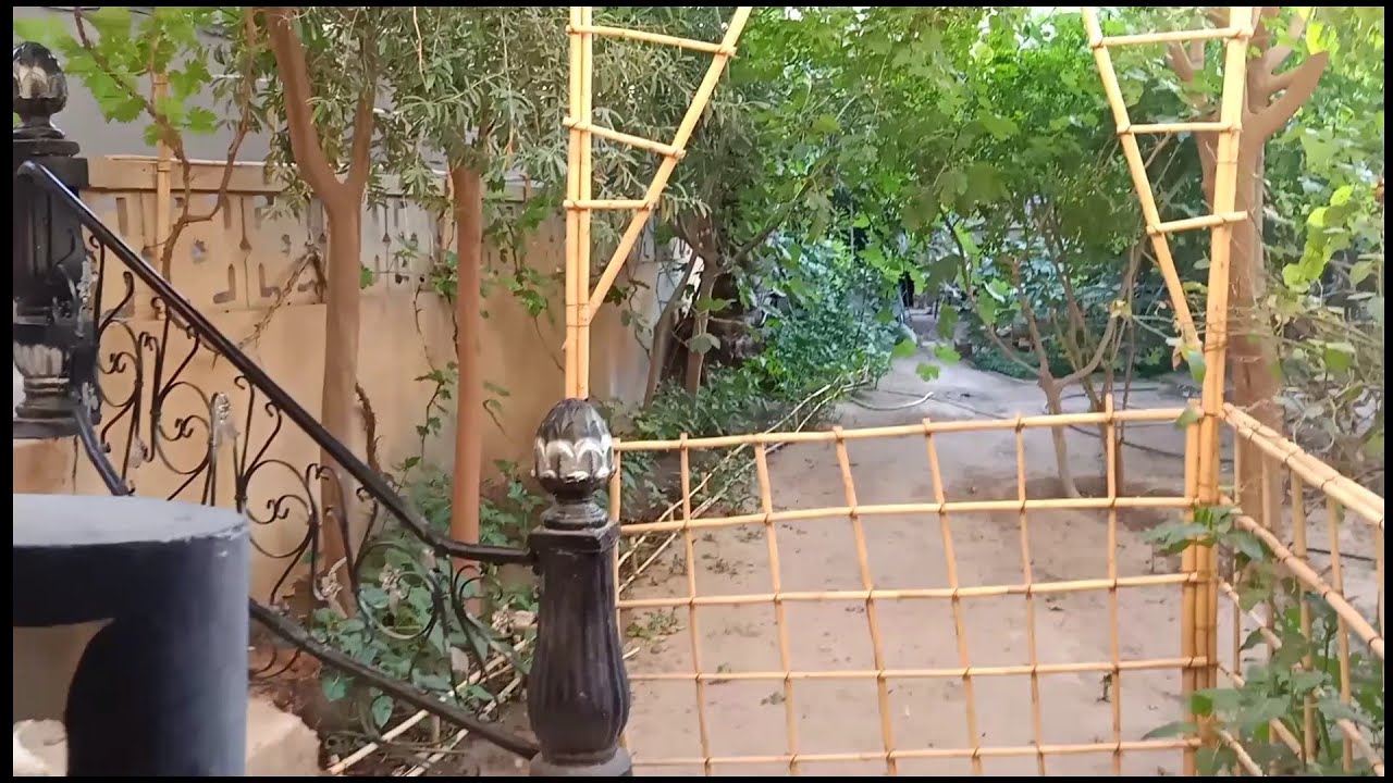 يوم كامل معي في بيت اهلي بديتها بجلسة تصويرية وجولة في المڨطع وختمتها باحلى قعدة مع العائلة