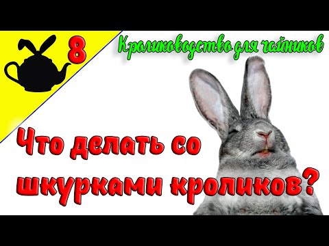 ЧТО ДЕЛАТЬ СО ШКУРКАМИ КРОЛИКОВ? / Кролиководство для чайников 8