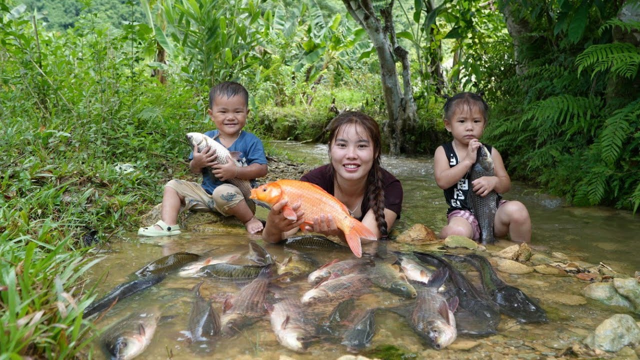 how to catch giant river fish on rainy day to sell at market - cook fish for little daughter to eat
