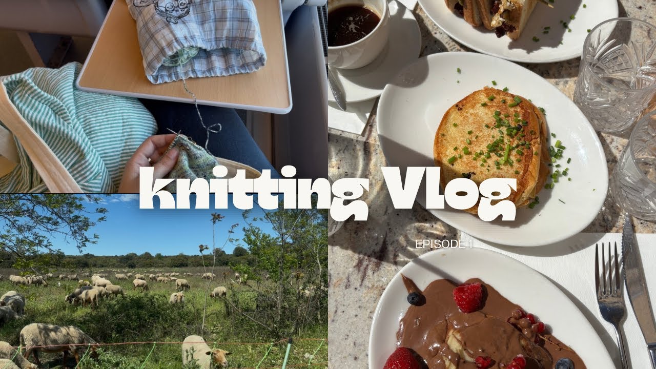 Knitting vlog - 1 semaine de tricot avec moi !