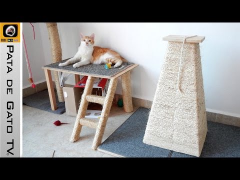Video: 3 Alternativas A Los árboles Para Gatos Que Levantarán A Tu Gatito