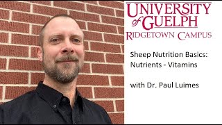 Sheep Nutrition Basics: Nutrients - Vitamins
