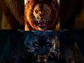 Lion vs Animals