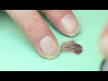 Rolex Submariner Watchmaking Demonstration | Watchfinder & Co.