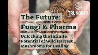 The Future of Fungi & Pharma