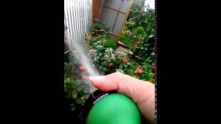 Шланг для полива Garden Hoses Doris-hose от Елены