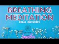 5 Minute Guided Breathing meditation 🌴 Take a deep breath 🌴 Relax now and reset your day