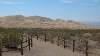 Mojave National Preserve, California (Kelso Dunes & Hole-In-The-Wall Campground)