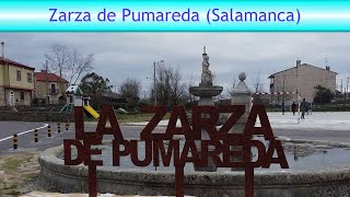 #107 - Zarza de Pumareda a vista de Mavic Mini