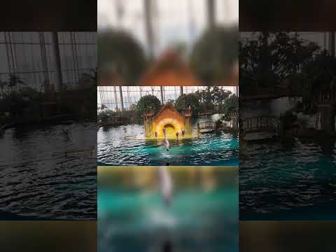 Part-2 AT SEAWORLD ABU DHABI UAE 02/08/2024