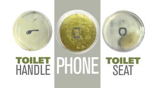 PhoneSoap 15Off Offer