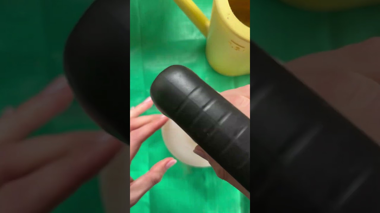 Egreše napadnuté múčnatkou: ako sa jej zbaviť?  