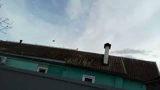 2 сразу