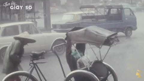 NẮNG CHIỀU | Lê Trọng Nguyễn | Hùng Cường - Nhạc Vàng Xưa Trước 1975