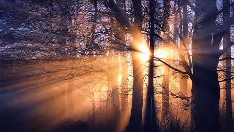 سورة الرحمن كاملة الشيخ فهد واصل المطيري Surah ArRahman أرح أعصابك وسمعك راحة نفسية تفوق الوصف