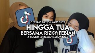 Dj Hingga Tua Bersama Rizky Febian X Sound Viral Tik Tok Slow Bass ( Fikri Eneste Rimex )