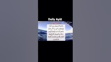 سورة الحجرات  Daily Ayāt #quran #islam #nigeria #dailyayat