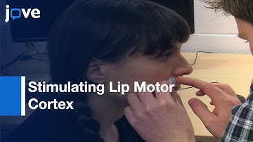 Stimulating Lip Motor Cortex With Transcranial Magnetic Stimulation l Protocol Preview
