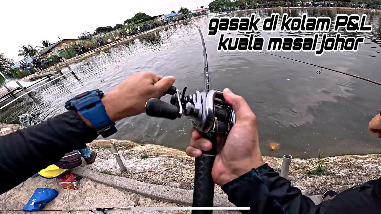 NON-STOP IKAN MAKAN | FULL SP | KOLAM P&L KUALA MASAI | JOHOR #vlog20