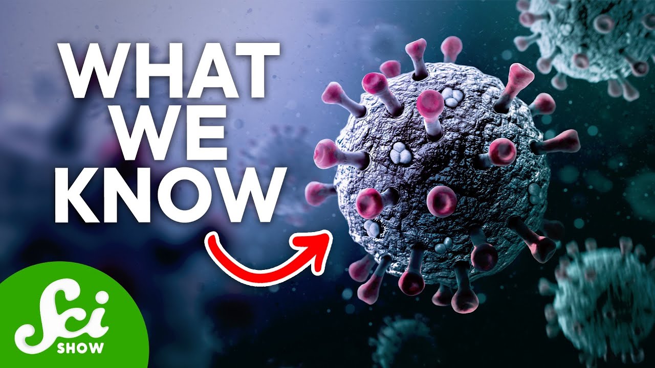 What We Know About the New Coronavirus | January 2020