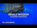 Whale Wisdom: The Intelligence of the Ocean | Full Nature Documentary Mp3 Song