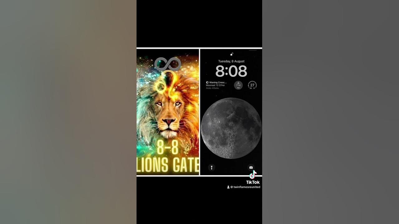 8.8 Lions Gate Portal by Twin Flames Reunited