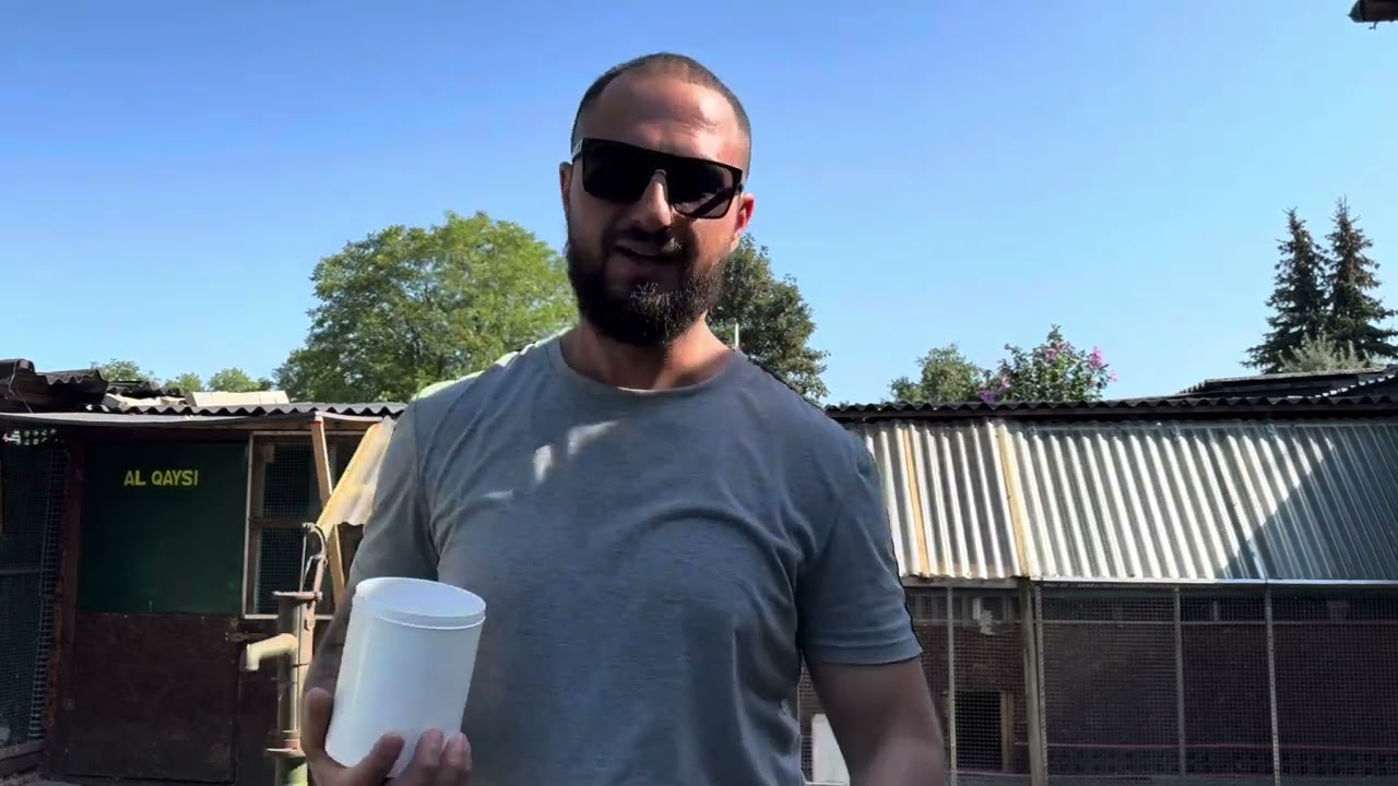 سباق الفرخات المانيا 2024 المسافة 175 km