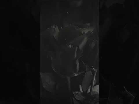 تجسمت تو لباس عروسی قشنگ بود ریمیکس رپ  ریمیکس رپفارسی سورنا  