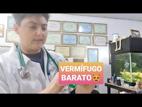 Vídeo: Melhor maca de gato para usar