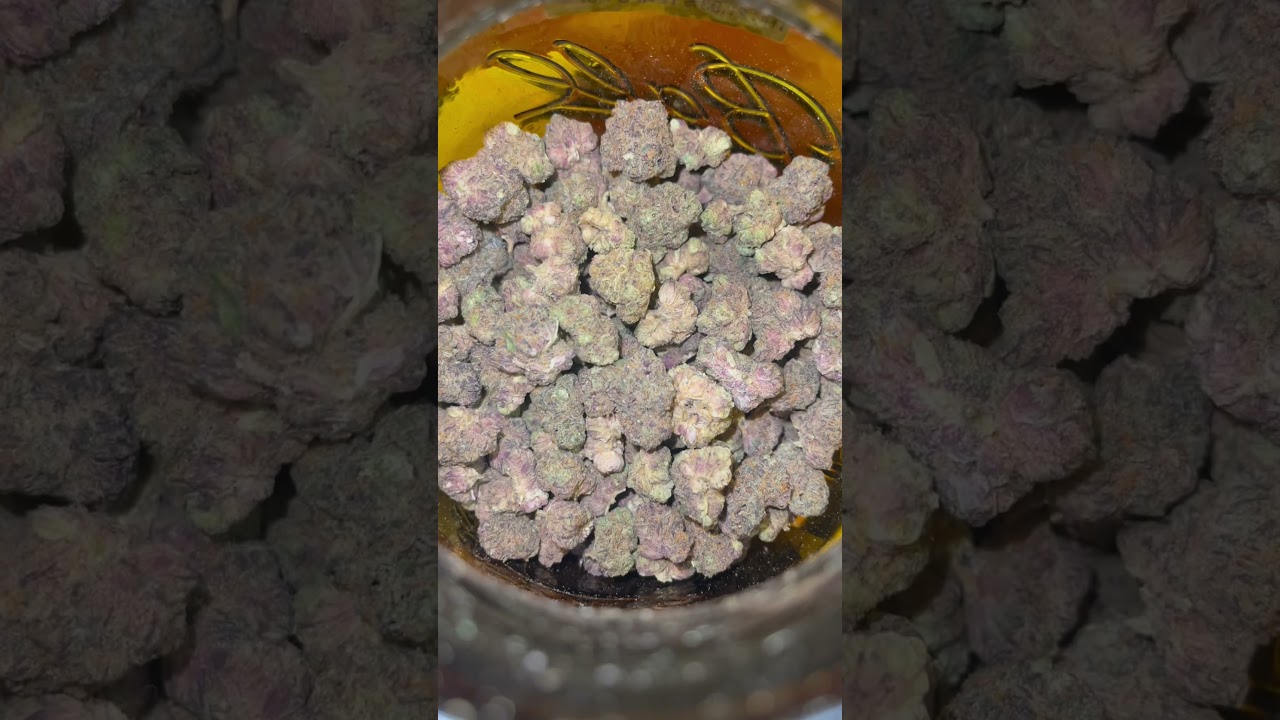 Pink Gruntz 🥵🔥 